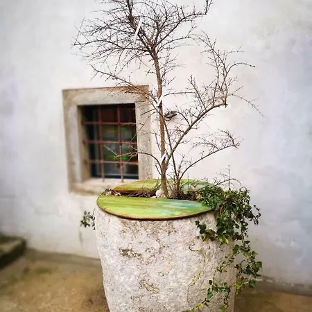 Cres Studio Till Apartment Appartamento