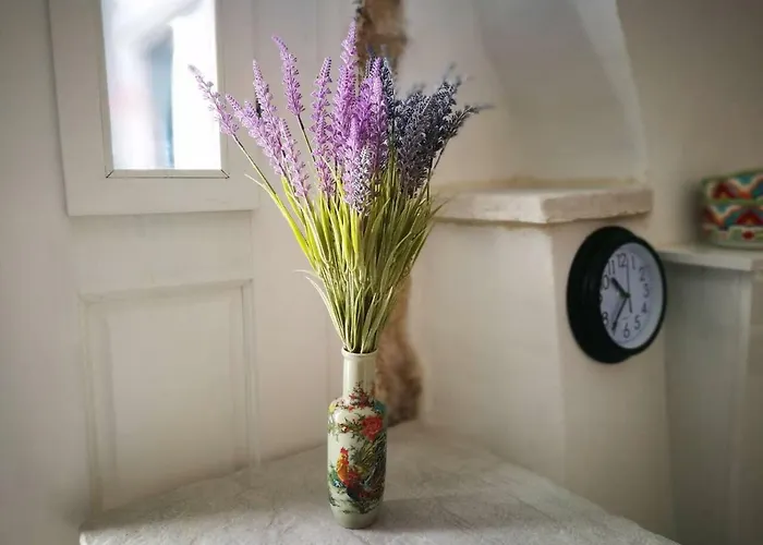 Cres Studio Till Apartment アパート